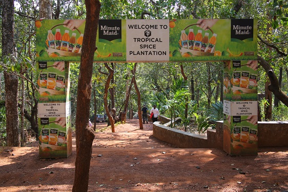 tropischer Waldlehrpfad in indischen Bundesstaat Goa