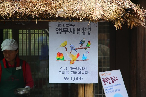 Garküche in Südkorea mit Singvögel im Angebot