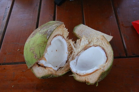 frische Kokosnuss