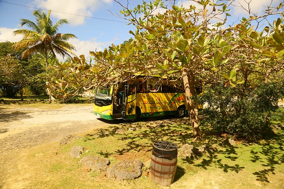 Busparkplatz auf Barbados