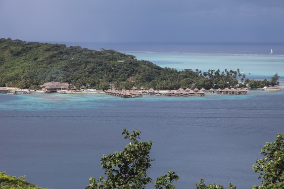 Fahrt durch den Regenwald auf Bora Bora/Französisch Polynesien